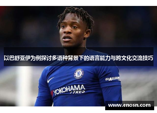 以巴舒亚伊为例探讨多语种背景下的语言能力与跨文化交流技巧 以巴舒亚伊为例探讨多语种背景下的语言能力与跨文化交流技巧