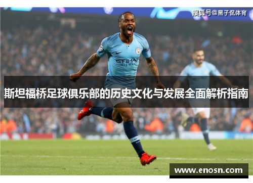 斯坦福桥足球俱乐部的历史文化与发展全面解析指南